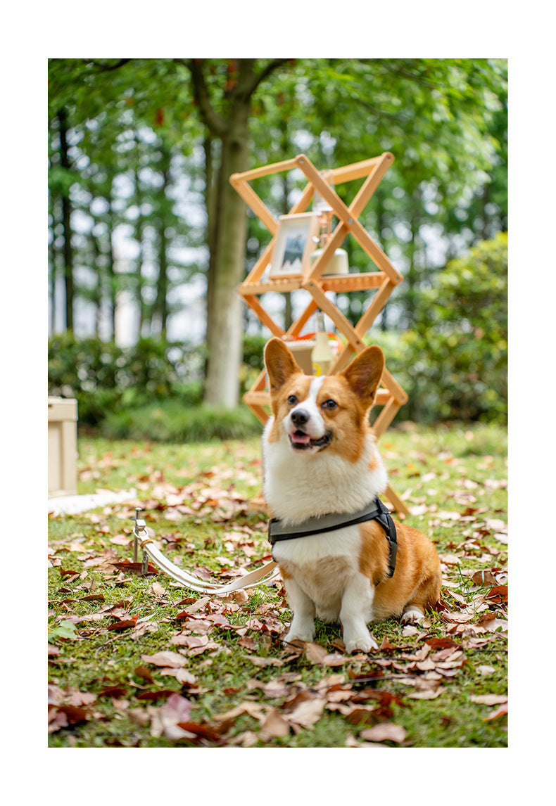 Mobi Garden Pet Ground Nail Portable Lightweight Outdoor Tent Peg For Pets Dog Leash Double Ground Nail Pegs Stake Design Stainless Steel Fixed Nail Camping Accessories